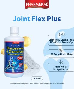 JOINT FLEX PLUS GLUCOSAMINE - HỖ TRỢ KHỚP LINH HOẠT, GIẢM THOÁI HÓA
