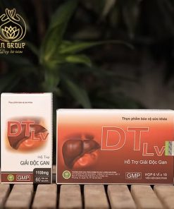 DTLv - Giải độc gan, hỗ trợ gan